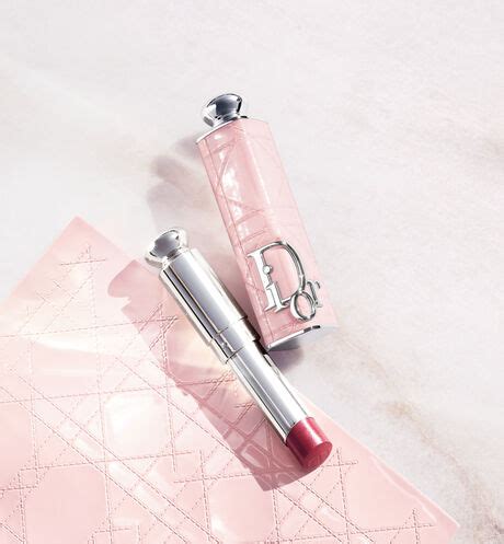 dior lip glow case|Dior addict case.